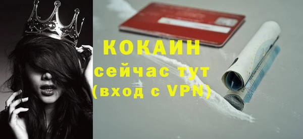 тгк Алексин