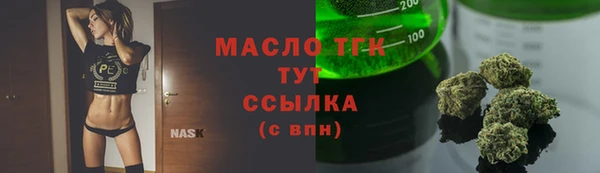 тгк Алексин