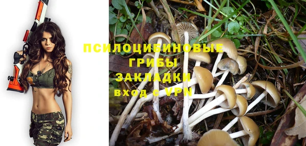СК Лиски