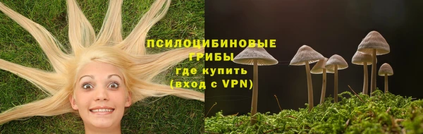 хмурый Алексеевка