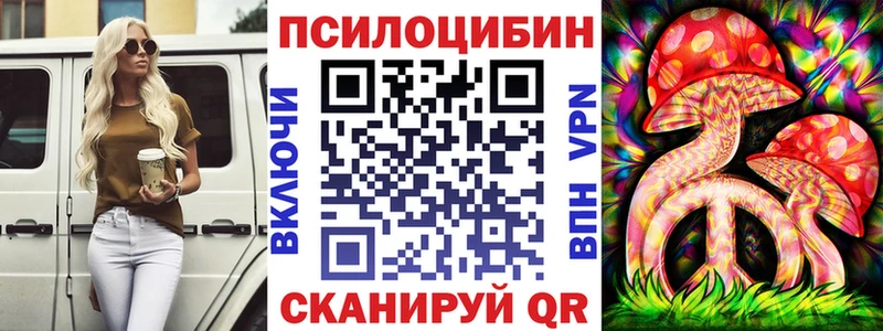 Псилоцибиновые грибы MAGIC MUSHROOMS  где купить наркоту  Люберцы 